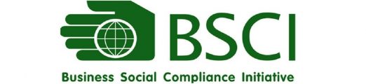 BUSINESS SOCIAL COMPLIANCE INITIATIVE